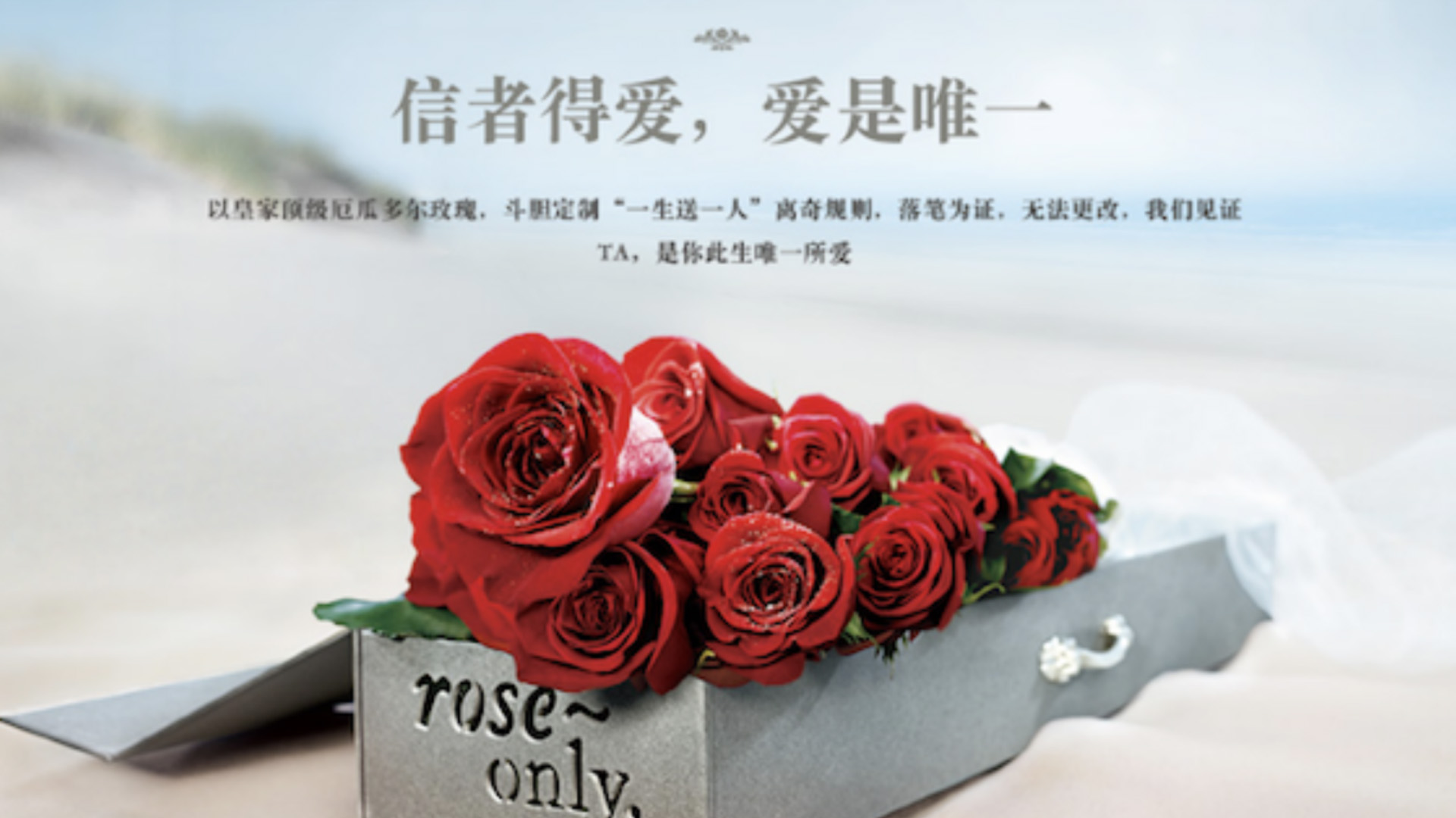 roseonly 花店品牌設計 花店vi設計 花店logo設計.jpg