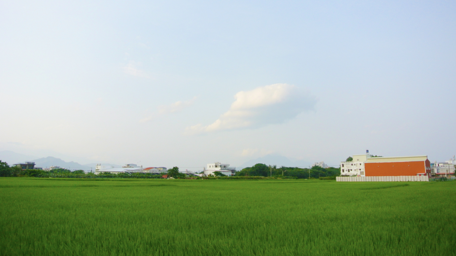 土特產全案策劃.jpg 土特產全案策劃.jpg