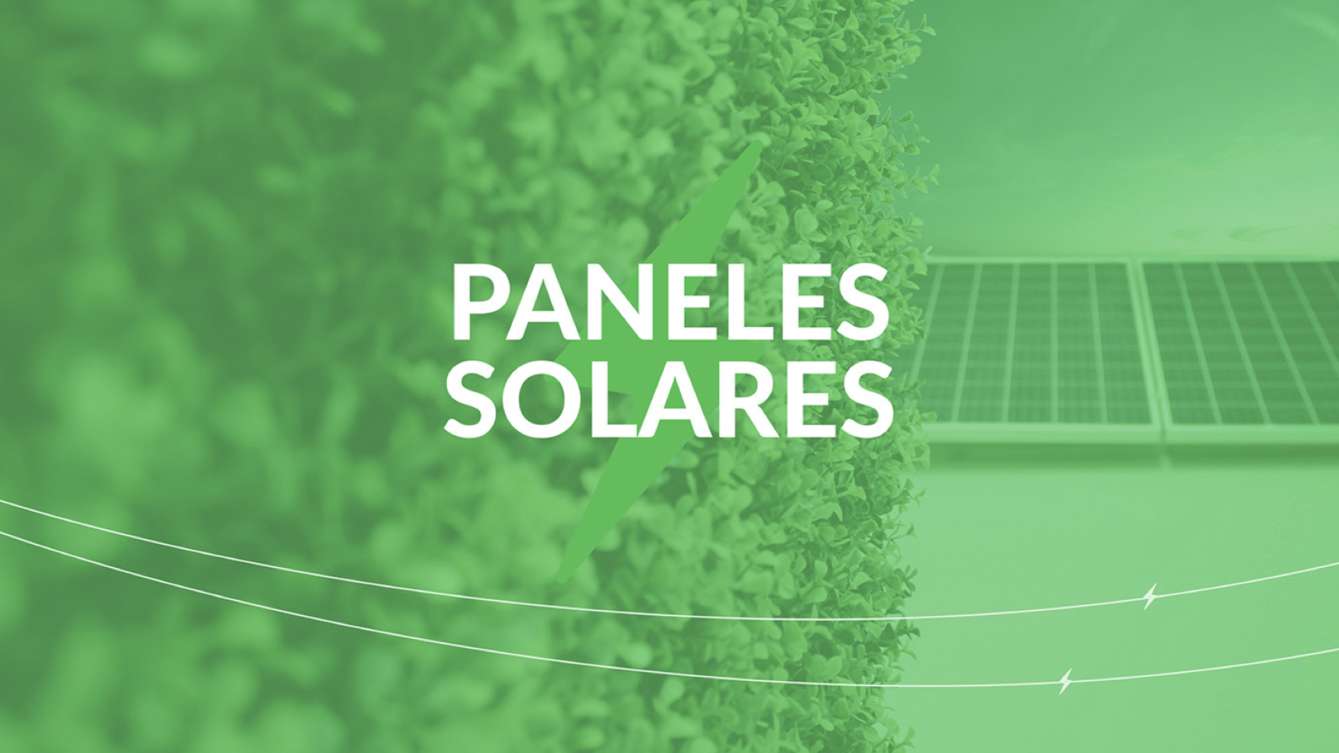 綠色能源vi設(shè)計(jì).jpg 綠色能源vi設(shè)計(jì).jpg